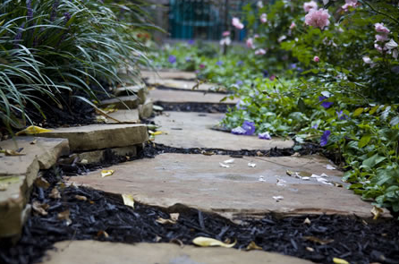 Photo of Vanice Lawn & Landscape