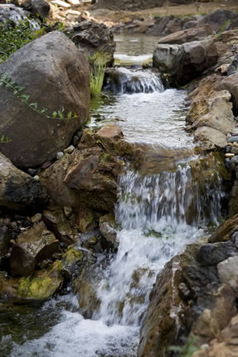Photo of Vanice Lawn & Landscape