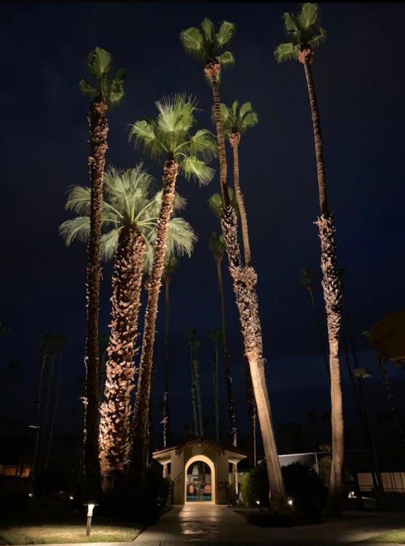 Photo of Horizon Lighting