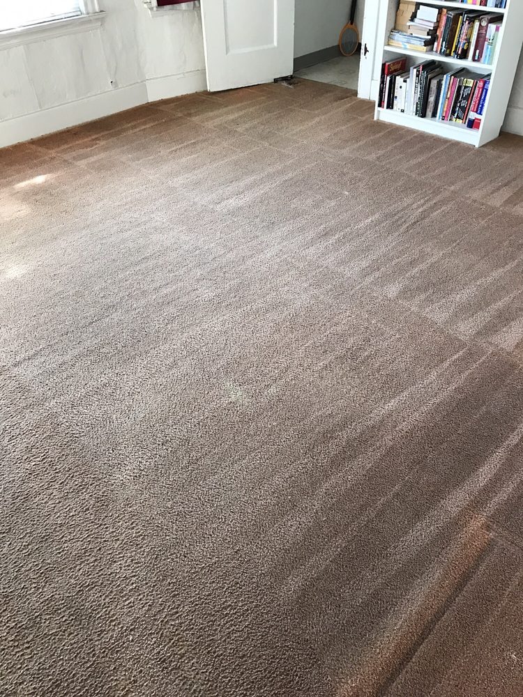Photo of Organic Steam Cleaning