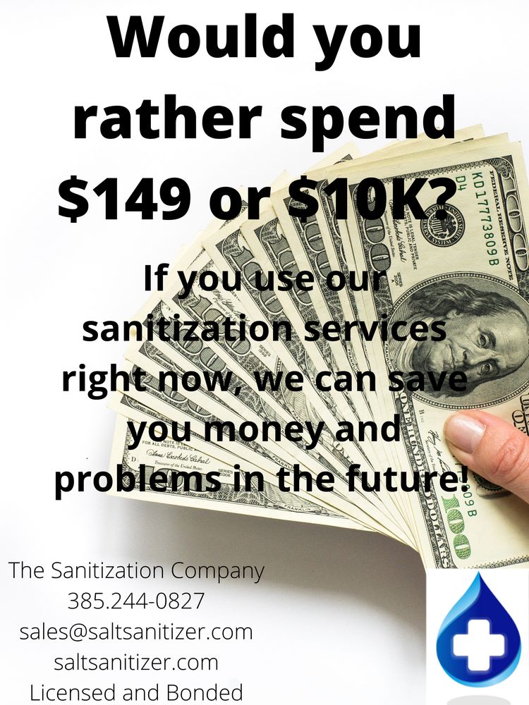 Photo of Salt Sanitizer