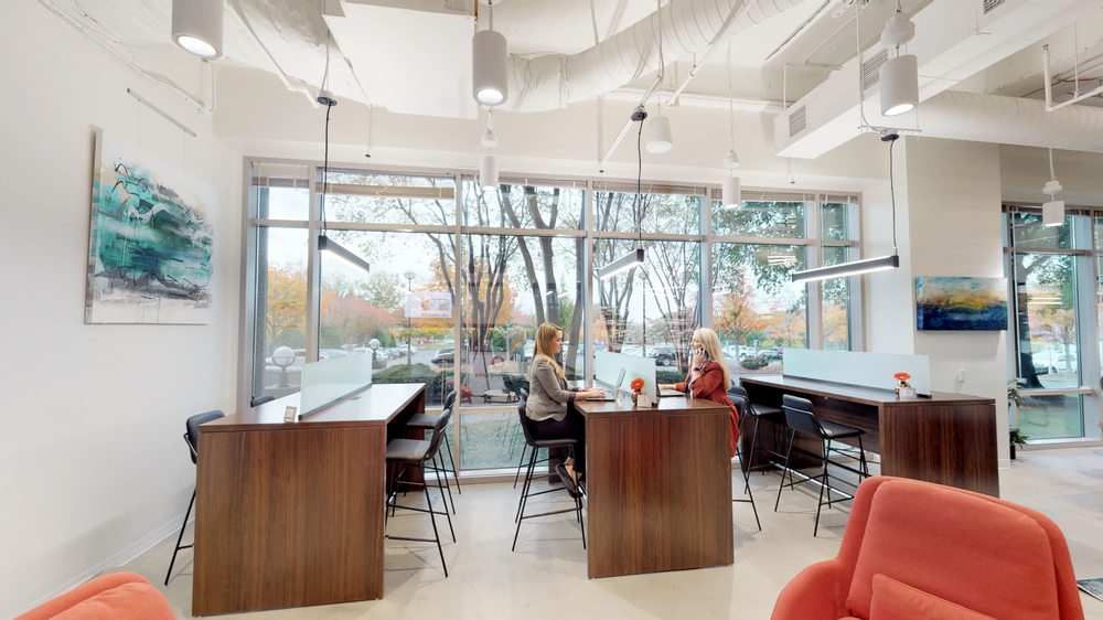 Photo of Serendipity Labs