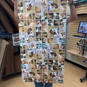 Photo of Print Pack Postal