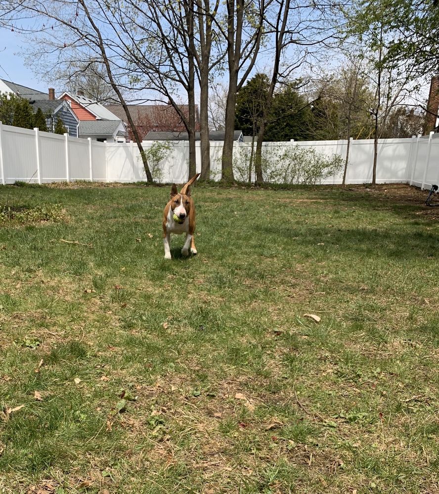 Photo of Allstate Fencing