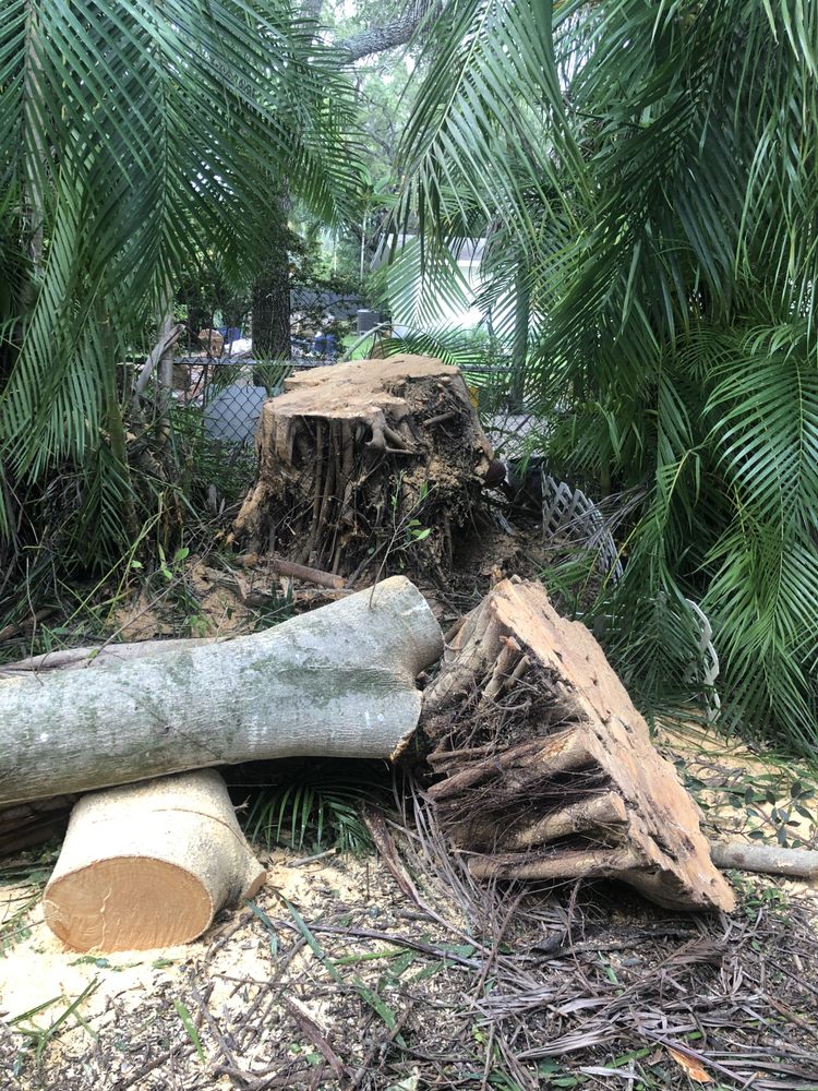 Photo of All Dade Tree Service