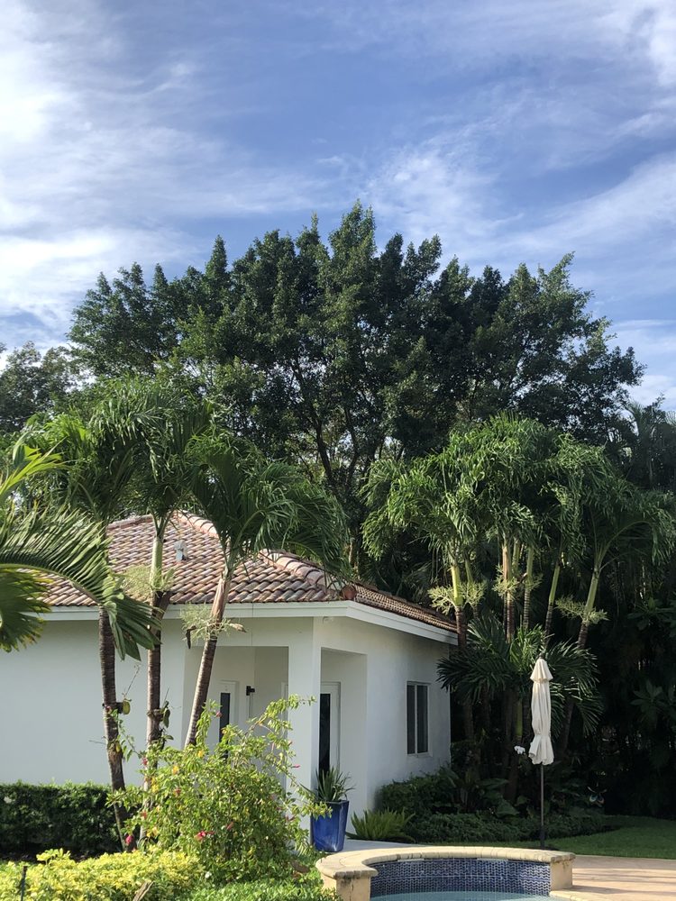 Photo of All Dade Tree Service