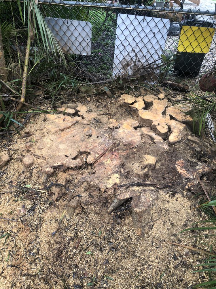 Photo of All Dade Tree Service