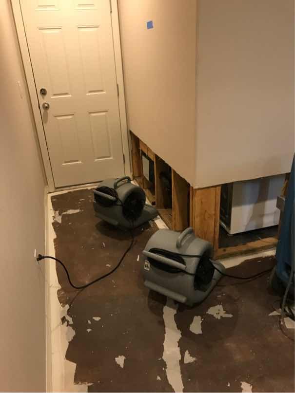 Photo of Water Damage Nashville