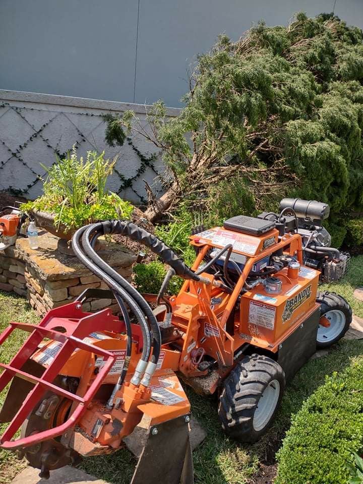 Photo of JLG Tree Services