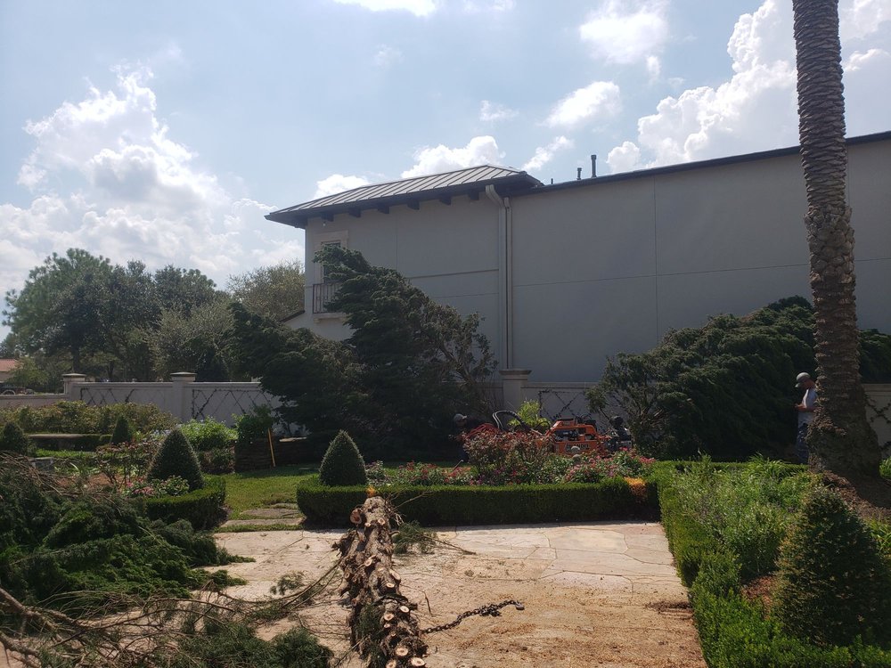 Photo of JLG Tree Services