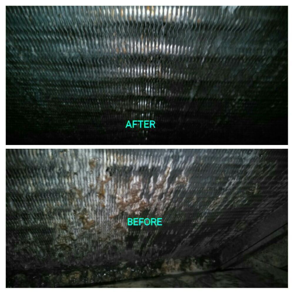 Photo of Most Thoroughly Cleaned
