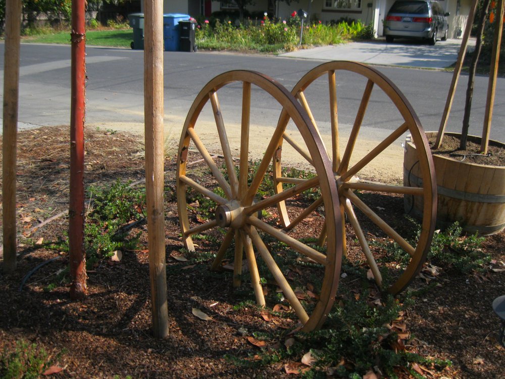 Photo of Hortus Design Sustainable Landscapes