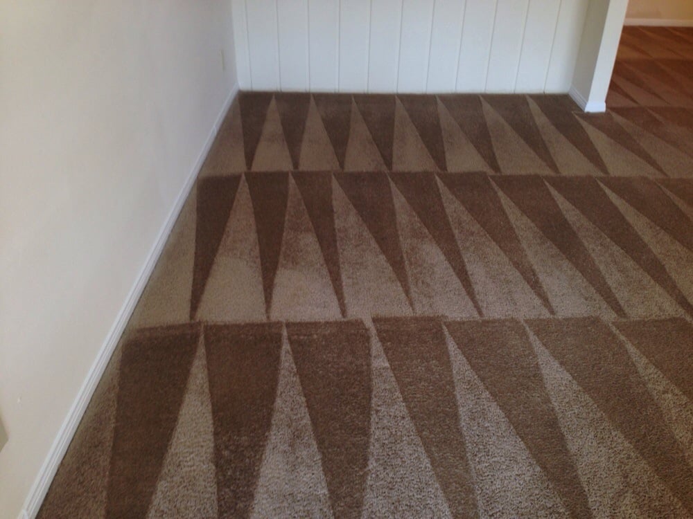 Photo of DM Carpet Cleaning