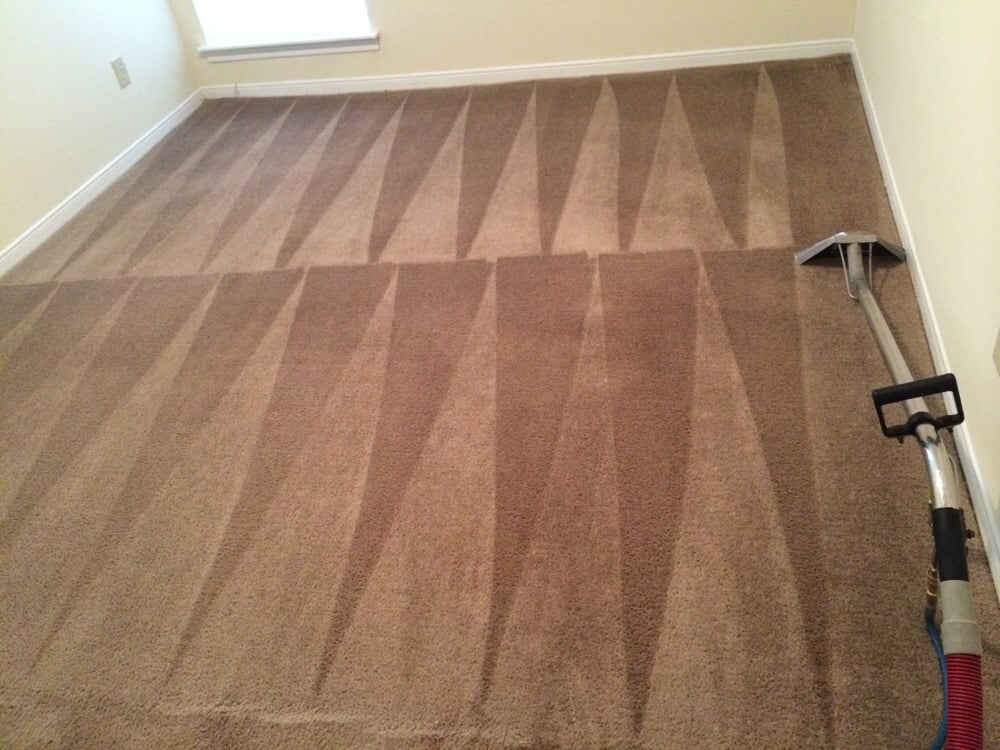 Photo of DM Carpet Cleaning