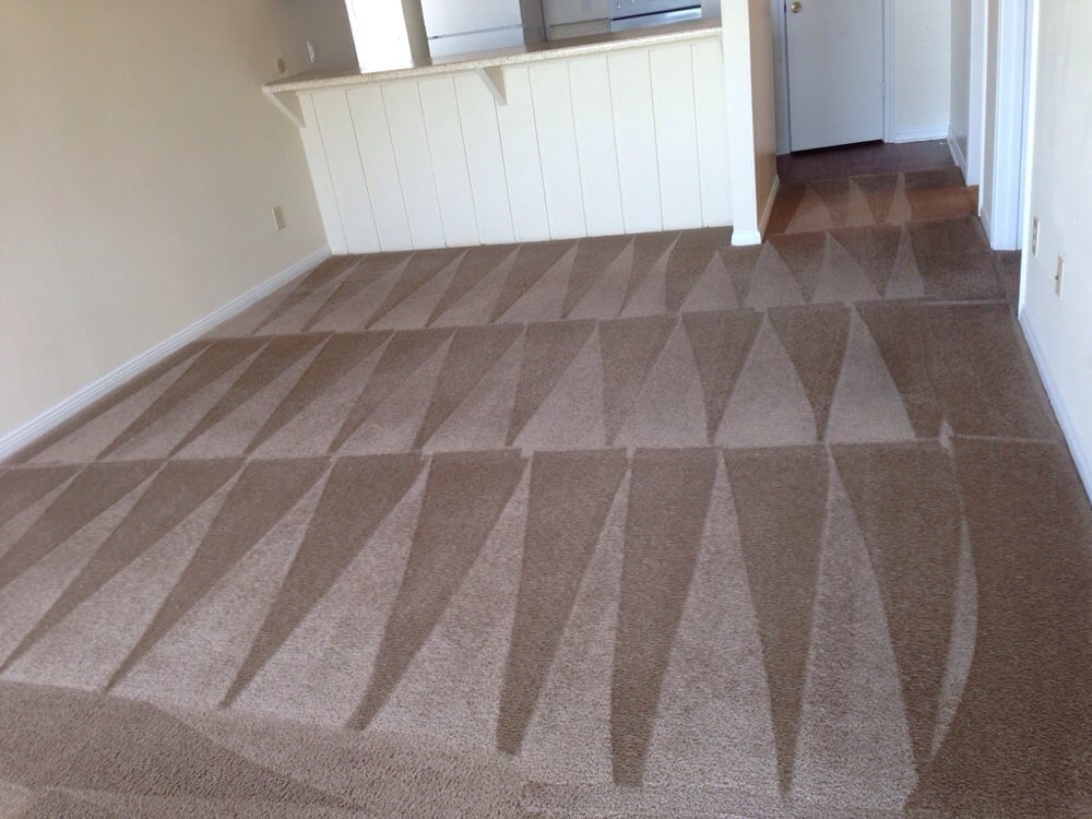 Photo of DM Carpet Cleaning