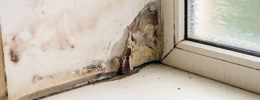 Photo of Assurance Restoration