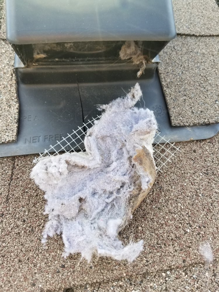 Photo of Clean N Dry Air duct & Dryer Vent Cleaning