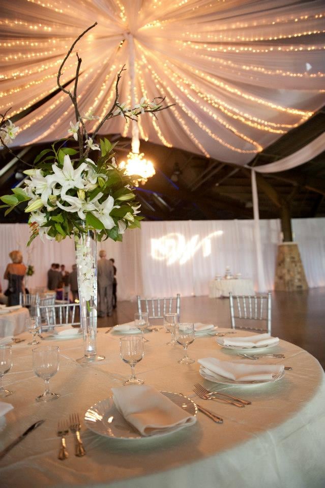 Photo of Toni Lynel Events