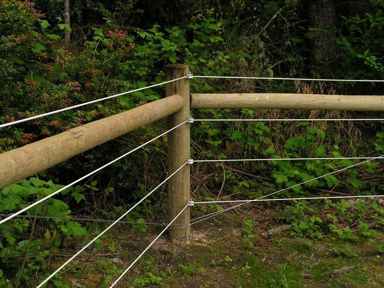 Photo of Kiwi Fencing