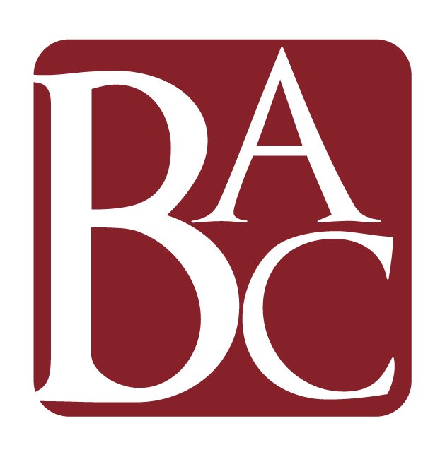 Photo of B Austin Consulting