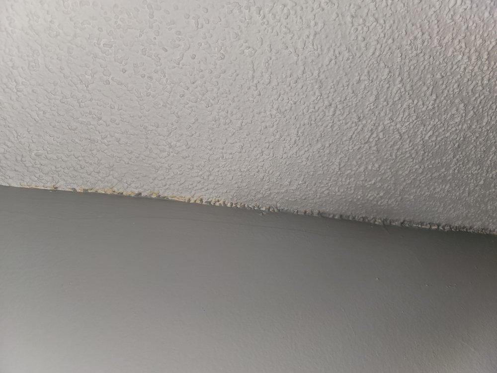 Photo of Joel Pressure Cleaning & Painting Services