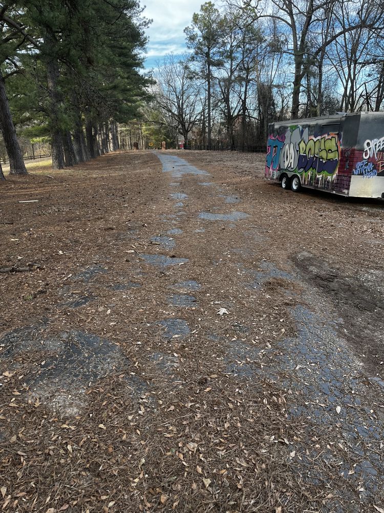 Photo of All Seasons Lawn Care