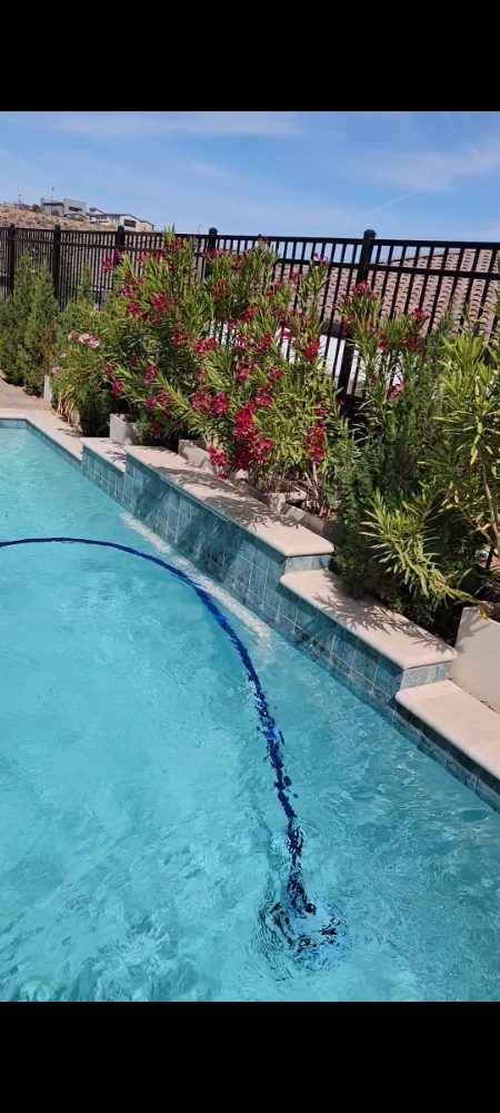 Photo of Armas Landscape and Design