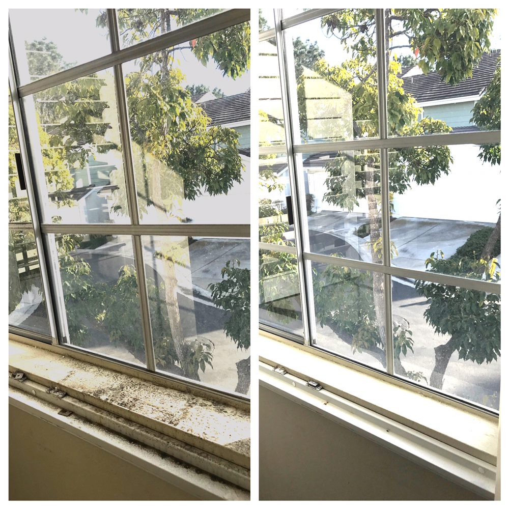 Photo of Walker Window Cleaning