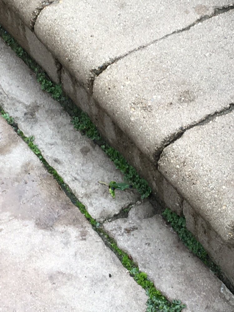 Photo of Pavercare