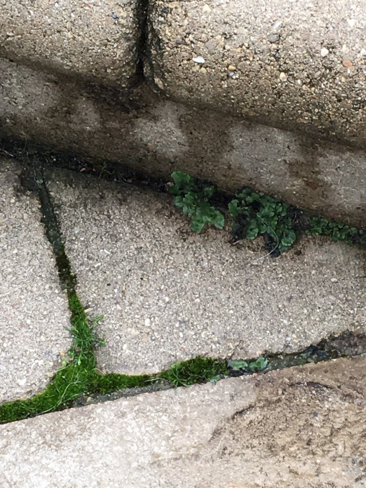 Photo of Pavercare