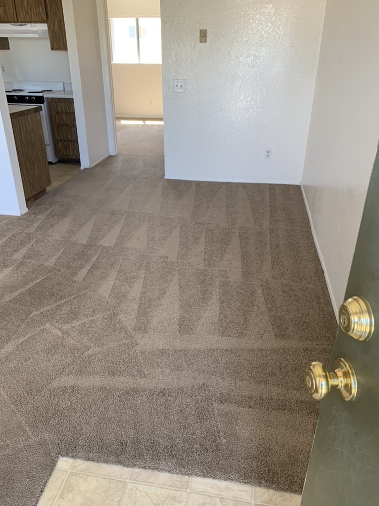 Photo of Steam Cleaning Professionals