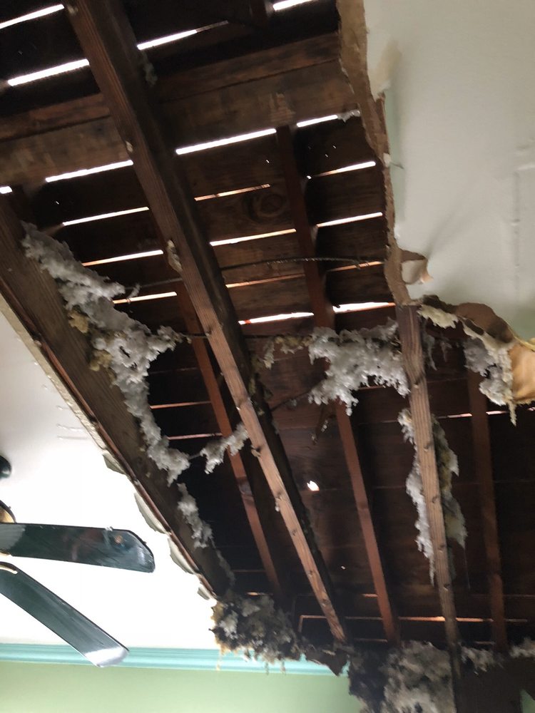 Photo of Georgia Roof Repair