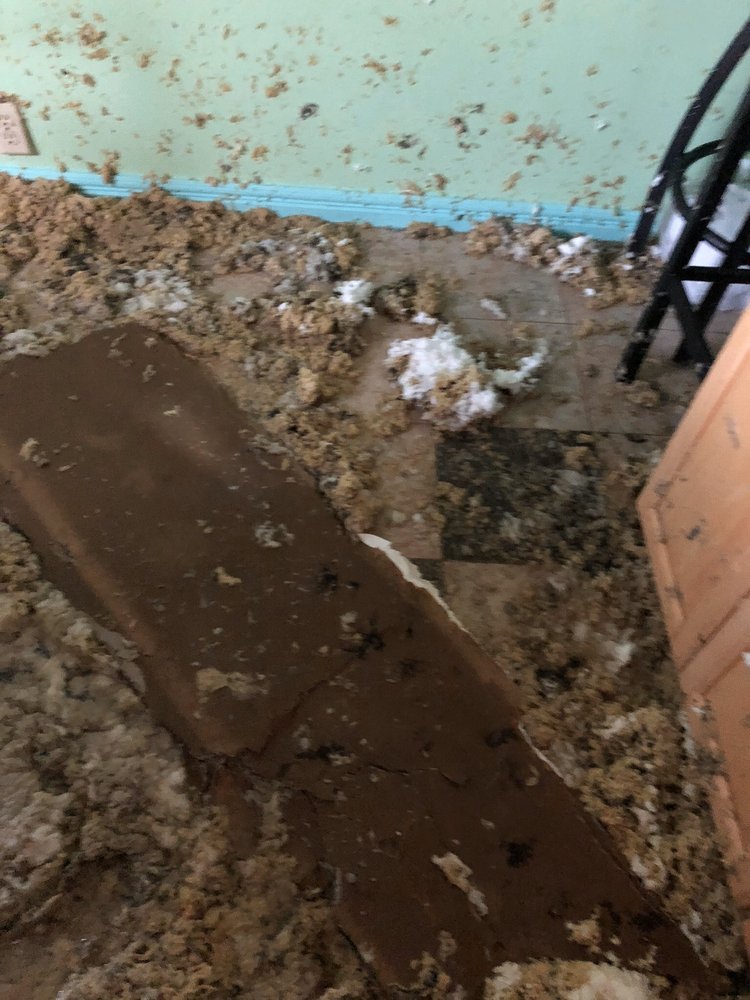 Photo of Georgia Roof Repair