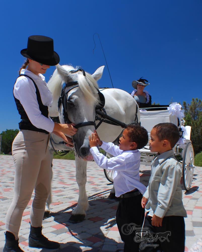 Photo of Fantasia Carriage