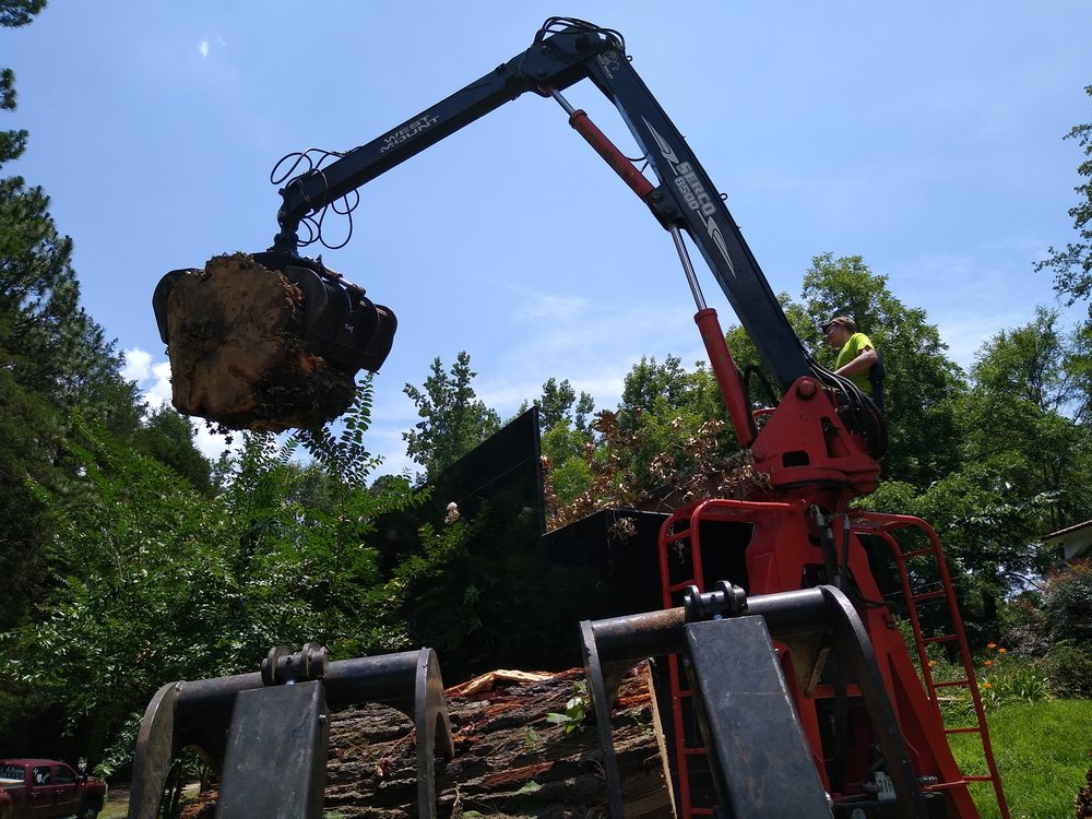 Photo of Tree Pros