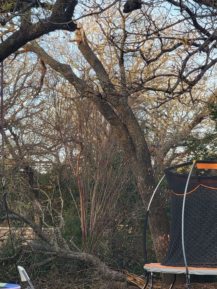 Photo of A-1 Lawn & Tree Service