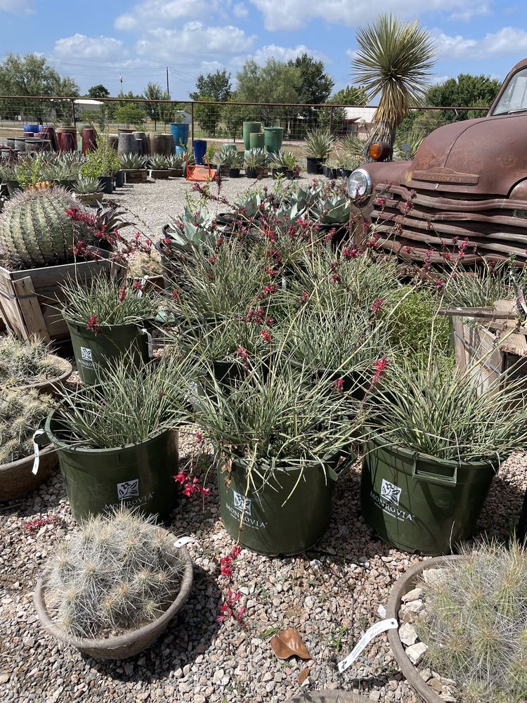 Photo of Backbone Valley Nursery
