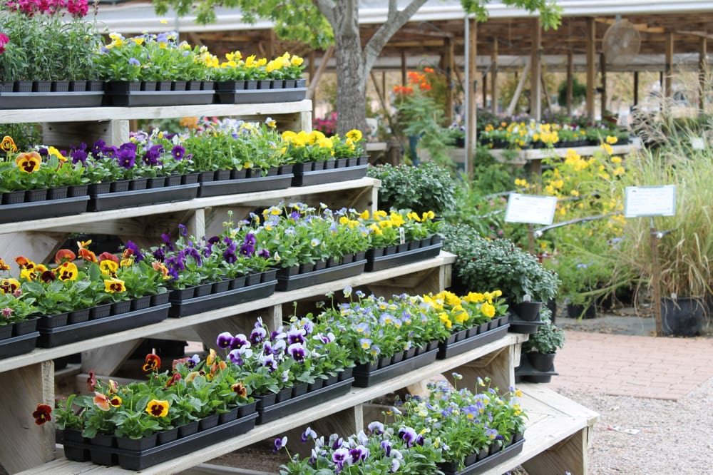 Photo of Backbone Valley Nursery