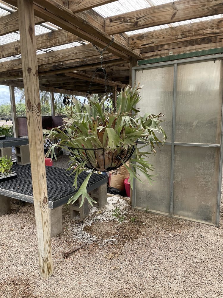 Photo of Backbone Valley Nursery