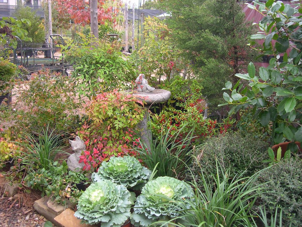 Photo of Rohde's Organic Landscape Services