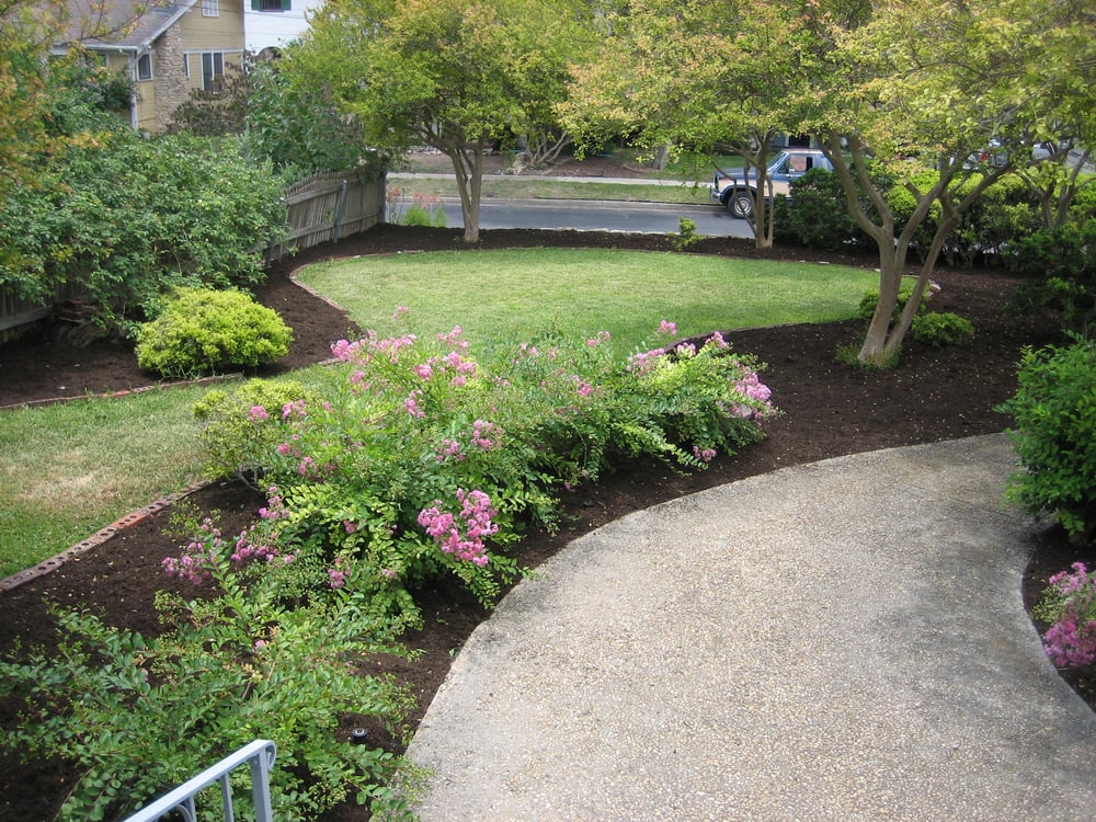 Photo of A Cut Above Tree & Landscaping