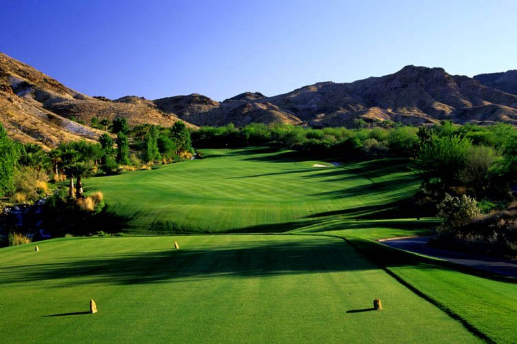 Photo of Pro Turf International