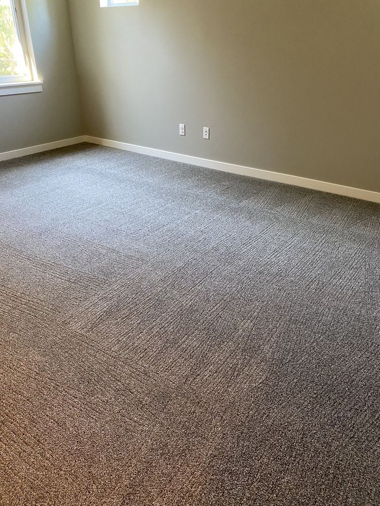 Photo of 5 Star Carpet Cleaning