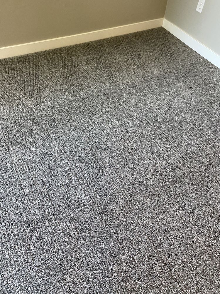 Photo of 5 Star Carpet Cleaning