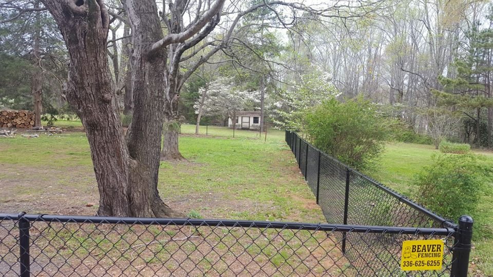 Photo of Beaver Fencing