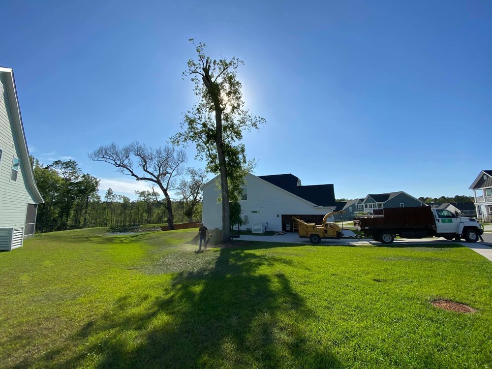 Photo of C & N Tree Service and Landscaping