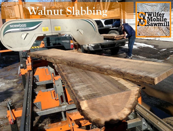 Photo of Wilfer Mobile Sawmill