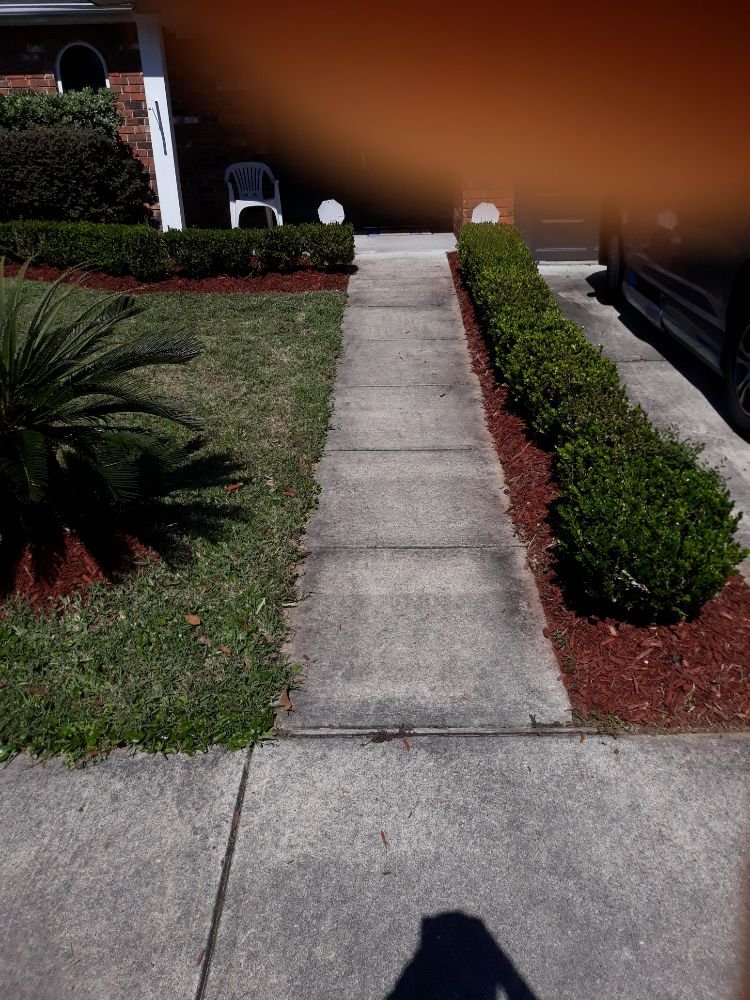 Photo of Raul's Mobile Lawn Care and Landscaping
