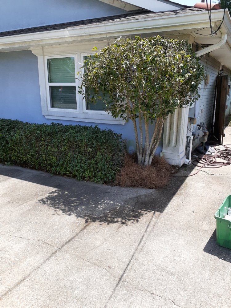 Photo of Raul's Mobile Lawn Care and Landscaping