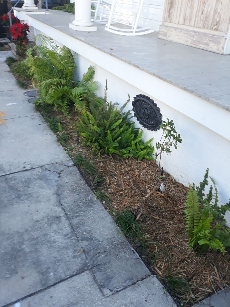 Photo of Raul's Mobile Lawn Care and Landscaping